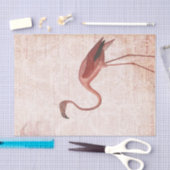 roze flamingo tissuepapier (Craft)