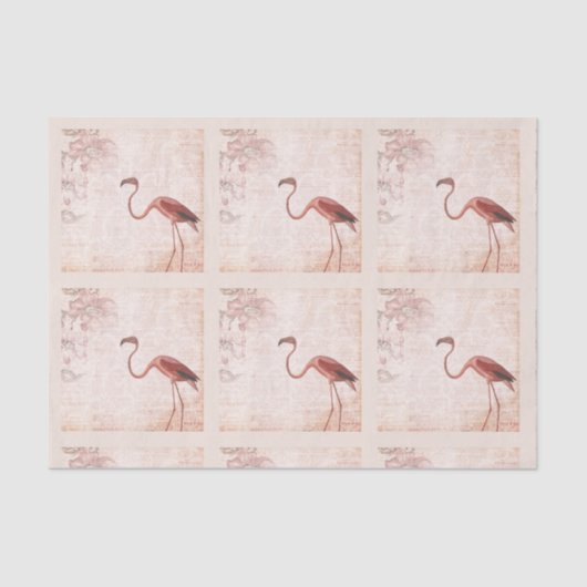  roze flamingo tissuepapier (Voorkant)