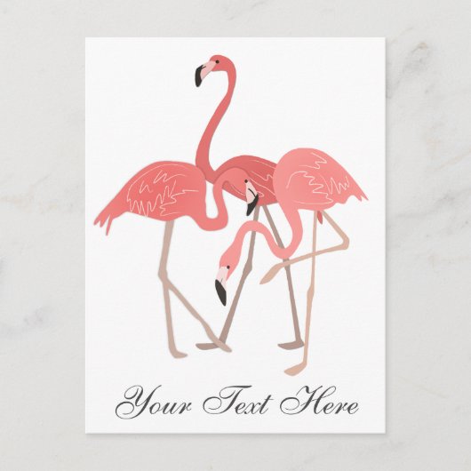 Roze Flamingo Trio Briefkaart (Voorkant)