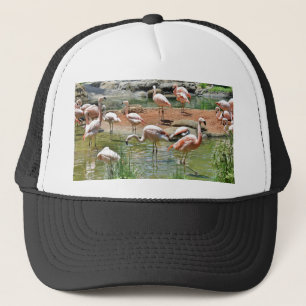 Roze Flamingo Trucker Pet