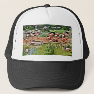 Roze Flamingo Trucker Pet