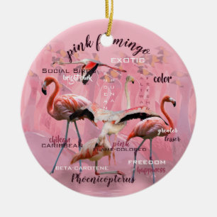 Roze Flamingo Typografie   GEPERSONALISEERD   Keramisch Ornament