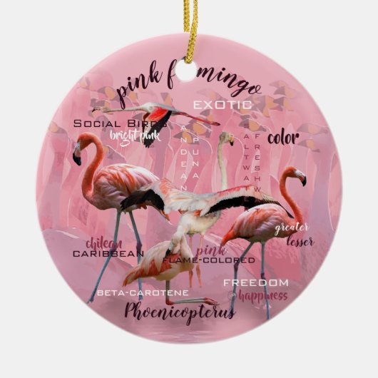 Roze Flamingo Typografie | GEPERSONALISEERD | Keramisch Ornament (Voorkant)