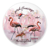 Roze Flamingo Typografie | GEPERSONALISEERD | Keramische Knop (Voorkant)