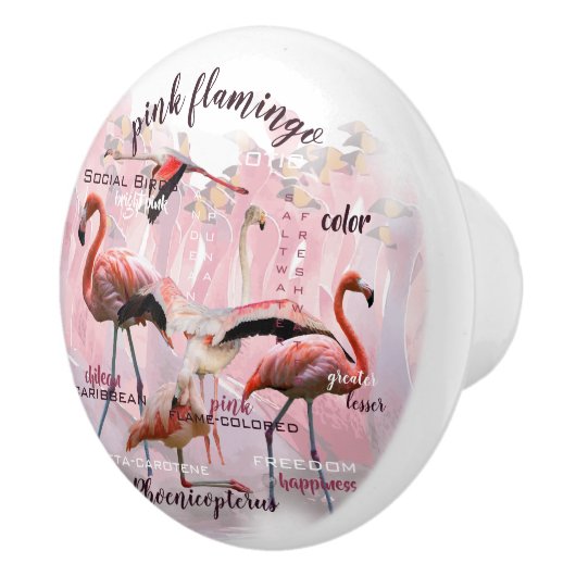 Roze Flamingo Typografie | GEPERSONALISEERD | Keramische Knop (Rechts)
