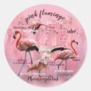 Roze Flamingo Typografie GEPERSONALISEERD Ronde Sticker