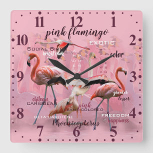 Roze Flamingo Typografie GEPERSONALISEERD Vierkante Klok