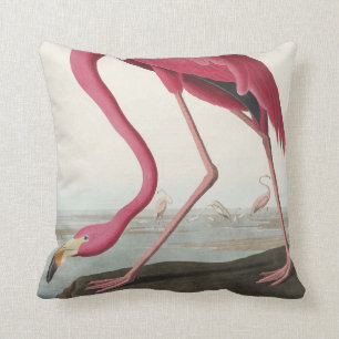 Roze Flamingo uit Amerikaanse vogels Kussen