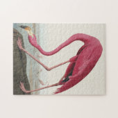 Roze Flamingo uit Amerikaanse vogels Legpuzzel (Horizontaal)