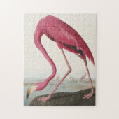 Roze Flamingo uit Amerikaanse vogels Legpuzzel (Verticaal)