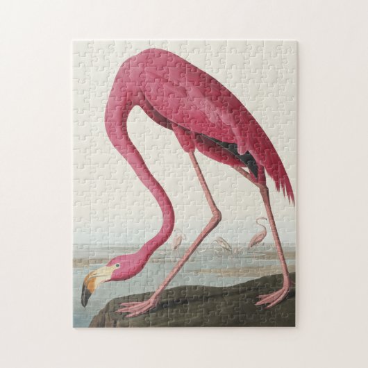 Roze Flamingo uit Amerikaanse vogels Legpuzzel (Verticaal)