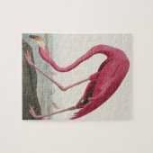 Roze Flamingo uit Amerikaanse vogels Legpuzzel (Horizontaal)