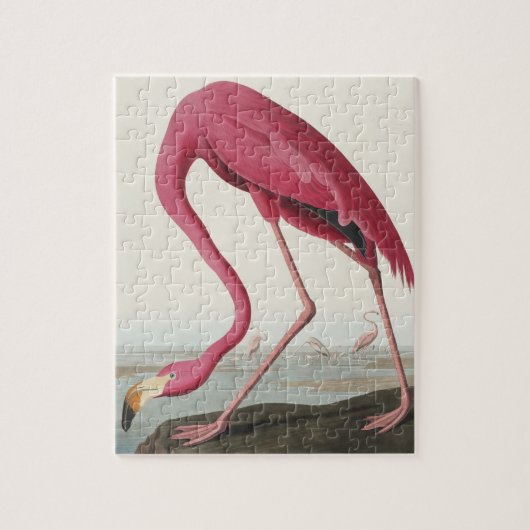 Roze Flamingo uit Amerikaanse vogels Legpuzzel (Verticaal)