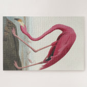 Roze Flamingo uit Amerikaanse vogels Legpuzzel (Horizontaal)