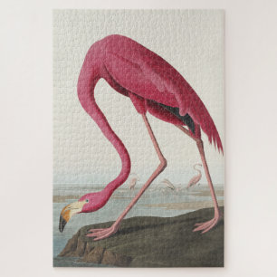 Roze Flamingo uit Amerikaanse vogels Legpuzzel
