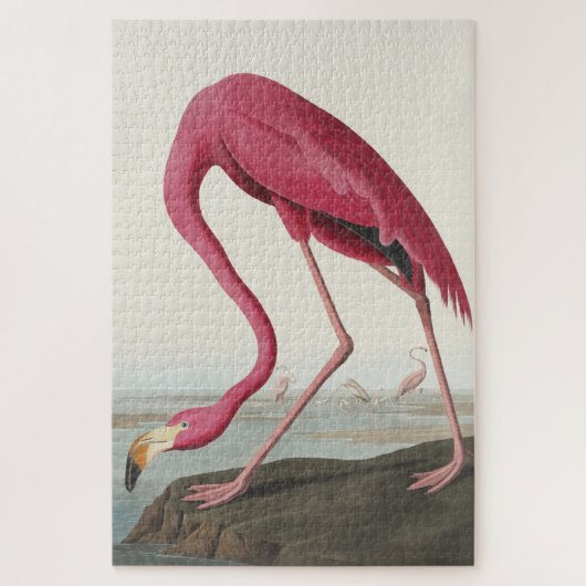 Roze Flamingo uit Amerikaanse vogels Legpuzzel (Verticaal)
