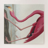 Roze Flamingo uit Birds of America Legpuzzel (Horizontaal)