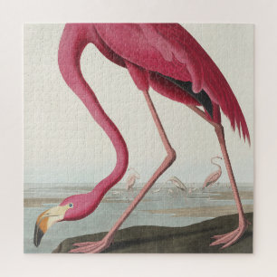 Roze Flamingo uit Birds of America Legpuzzel