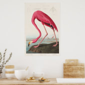 Roze Flamingo van Birds of America (1827) Poster (Keuken)