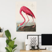 Roze Flamingo van Birds of America (1827) Poster (Thuiskantoor)