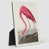 Roze Flamingo van John Audubon Fotoplaat (Zijkant)