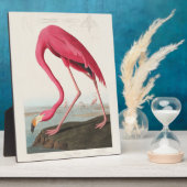 Roze Flamingo van John Audubon Fotoplaat (Zijkant)