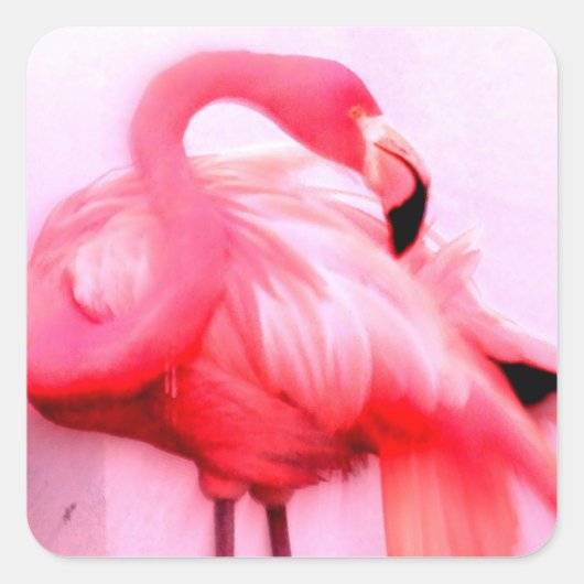 Roze Flamingo Vierkante Sticker (Voorkant)