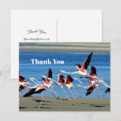 Roze Flamingo Vlucht Natuurfoto Dank Je Wel Briefkaart (Voorkant / Achterkant)