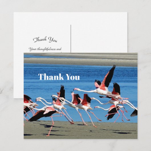 Roze Flamingo Vlucht Natuurfoto Dank Je Wel Briefkaart (Voorkant / Achterkant)