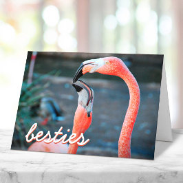 Roze Flamingo Vogels Foto Beste Vriendinnen Script Kaart