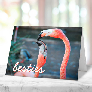Roze Flamingo Vogels Foto Besties Script Stijlvol Kaart