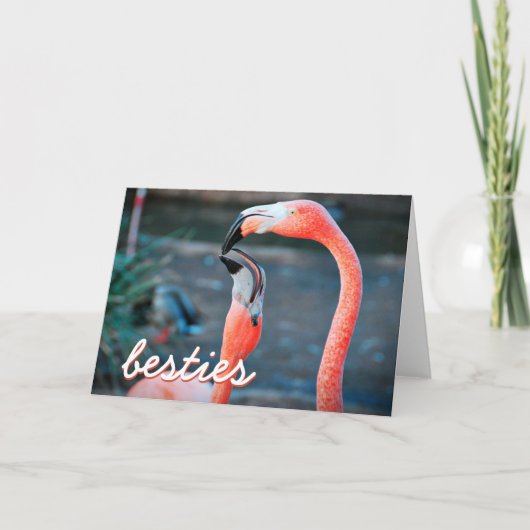 Roze Flamingo Vogels Foto Besties Script Stijlvol Kaart (Voorkant)