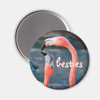 Roze Flamingo Vogels Foto Besties Script Stijlvol
