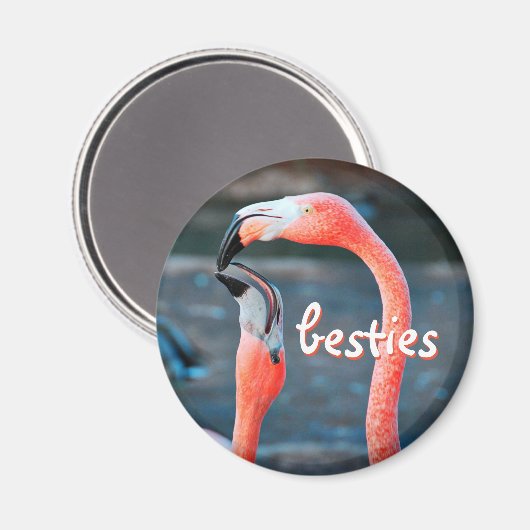 Roze Flamingo Vogels Foto Besties Script Stijlvol Magneet (Voorkant / Achterkant)