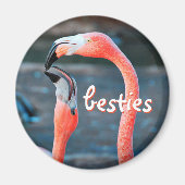 Roze Flamingo Vogels Foto Besties Script Stijlvol Magneet (Voorkant)