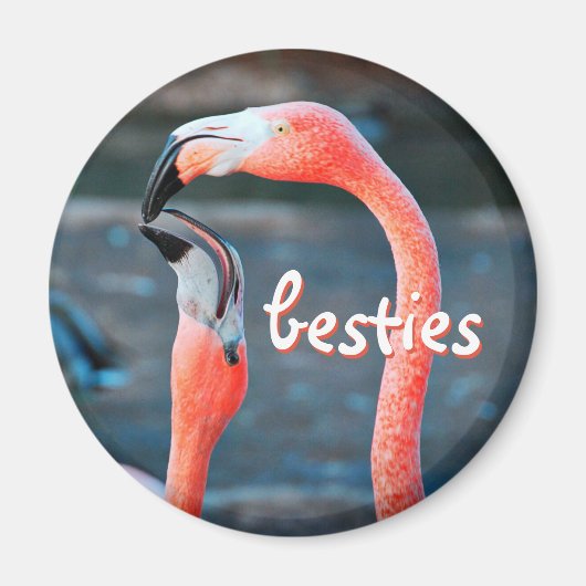 Roze Flamingo Vogels Foto Besties Script Stijlvol Magneet (Voorkant)