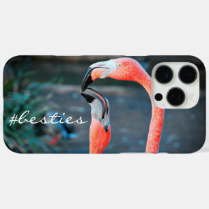 Roze Flamingo Vogels Foto Vrienden Besties Script iPhone 16 Pro Max Hoesje