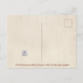 Roze Flamingo, vogels van Amerika door J.J. Audubo Briefkaart (Achterkant)