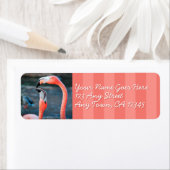 Roze flamingo vrienden foto aangepast script adres etiket (Insitu)