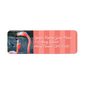 Roze flamingo vrienden foto aangepast script adres etiket (Voorkant)