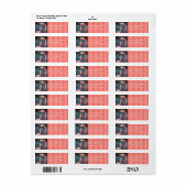 Roze flamingo vrienden foto aangepast script adres etiket (Full Sheet)
