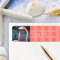 Roze flamingo vrienden foto aangepast script adres