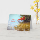 Roze Flamingo waden in het water Happy Birthday Kaart (Gele Bloem)