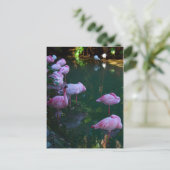 Roze flamingoenen Foto Briefkaart (Staand voorkant)