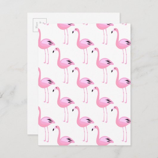 Roze Flamingo's 2 2 Briefkaart (Voorkant / Achterkant)