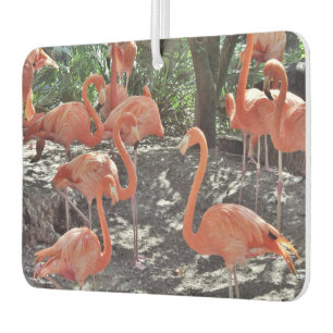 Roze flamingos Air Freshener Luchtverfrisser
