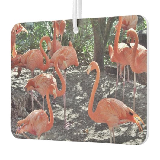 Roze flamingos Air Freshener Luchtverfrisser (Links)