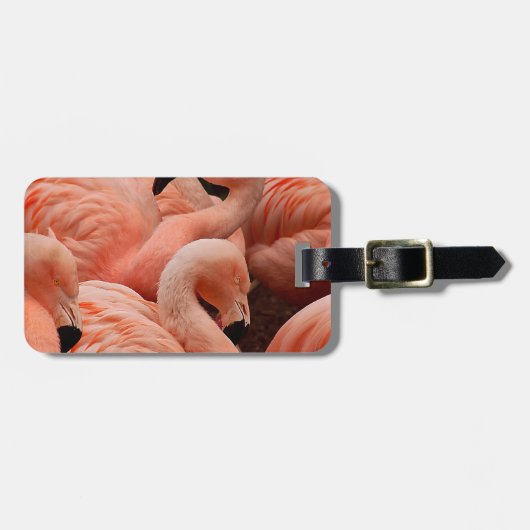 Roze flamingos bagagelabel (Voorkant horizontaal)
