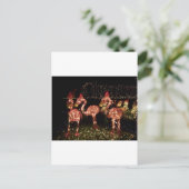 Roze Flamingo's Briefkaart (Staand voorkant)