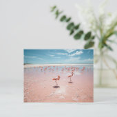 Roze flamingo's briefkaart (Staand voorkant)